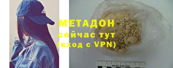 шишки Ельня