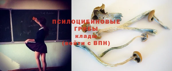 мескалин Ростов