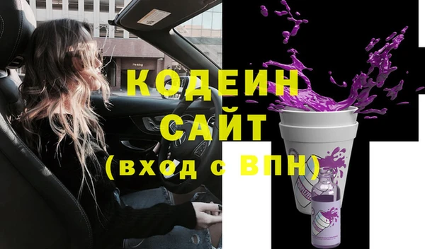 шишки Ельня