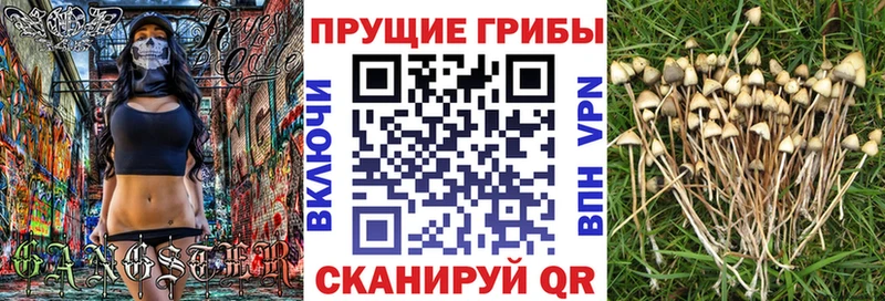 купить   Асбест  Псилоцибиновые грибы мухоморы 