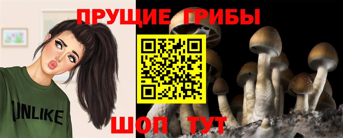 Галлюциногенные грибы MAGIC MUSHROOMS Асбест
